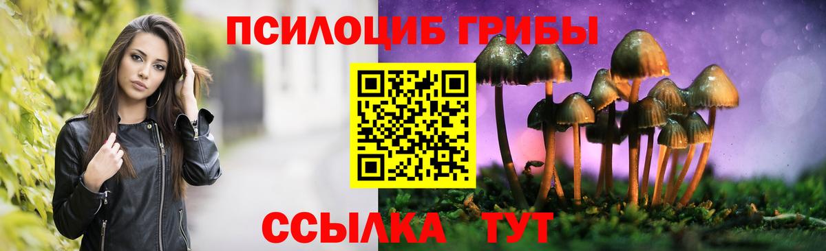 Галлюциногенные грибы мицелий  Галлюциногенные грибы мицелий  Домодедово  Вход с VPN 